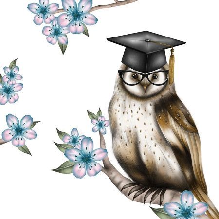 Clear Creation Karnet Swarovski kwadrat CL0309_BL Sowa