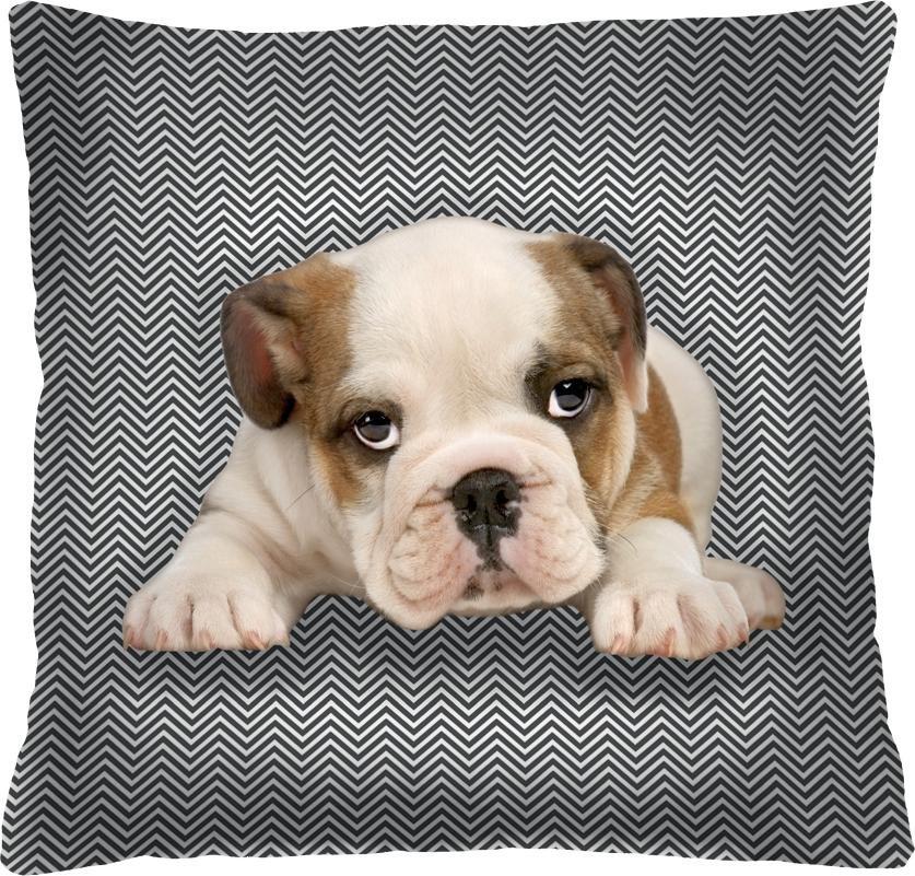 Bertoni-arco Poduszka - NIUNIO - 40x40 cm