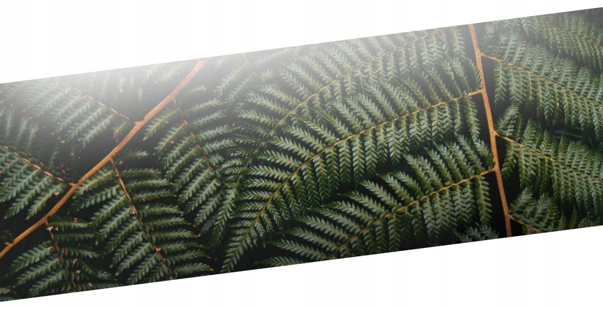 Pachnąca Szafa Saszetka do szafy Moc Ukojenia 5g