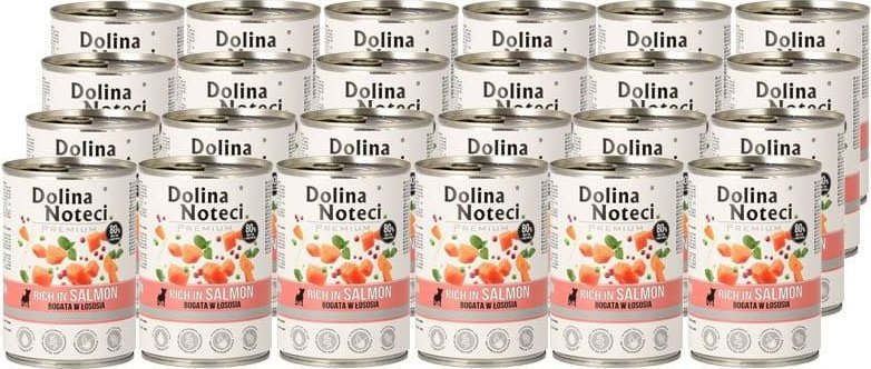 Dolina Noteci Premium z łososiem 24x400g
