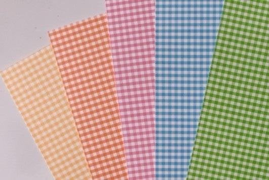 Karton obustronny kratka 300g 24x34cm 5 ark MIX