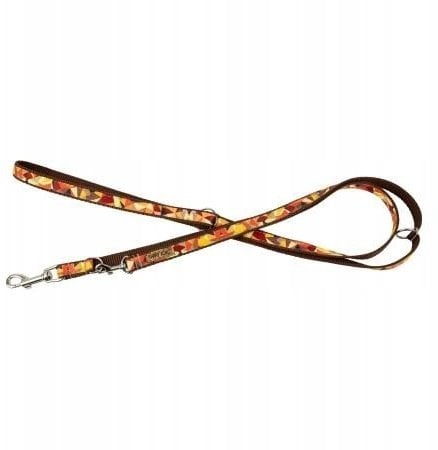 Smycz dla psa, wzór jesień, regulowana, taśma, 20MM/220CM brązowa