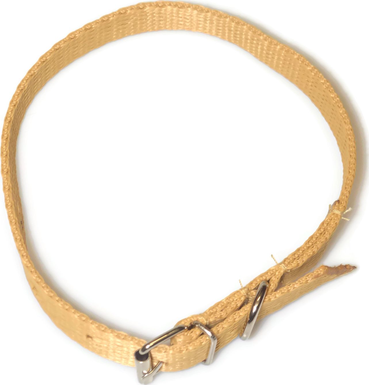 Alizoo Obroża dla średniego psa 16mm/30-41cm z metalową klamerką - ALIZOO