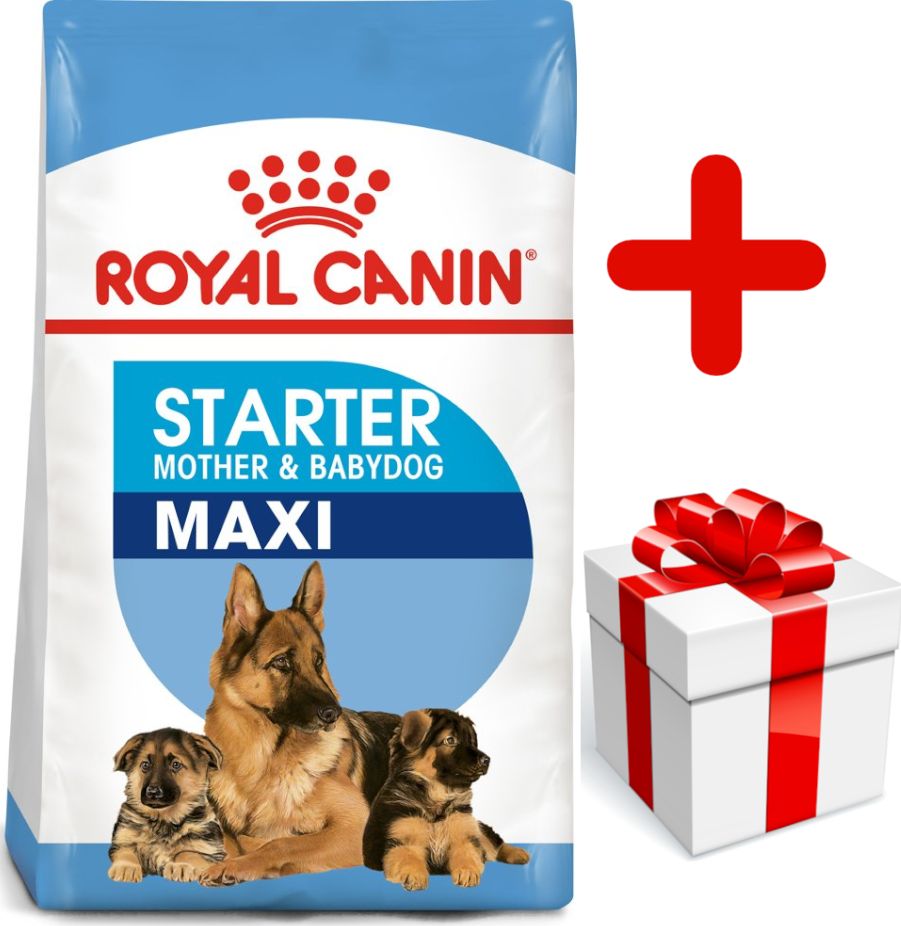 Royal Canin ROYAL CANIN Maxi Starter Mother&Babydog 15kg + niespodzianka dla psa GRATIS!