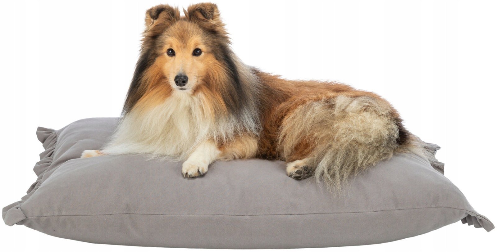 Trixie Amelie cushion, square, 100 × 70 cm, light grey