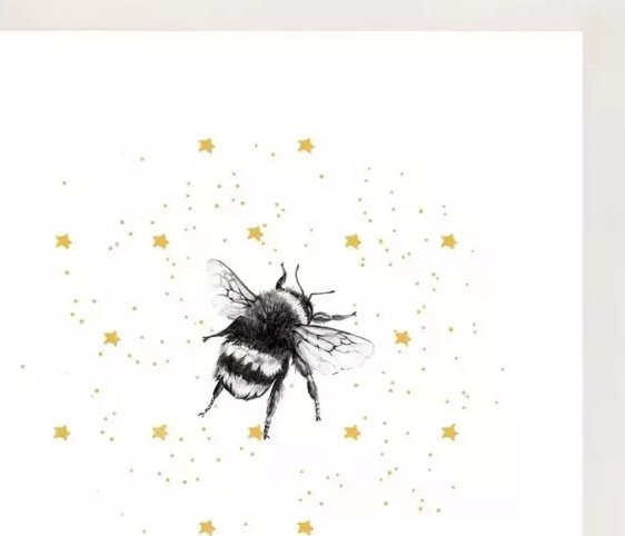 Clear Creation Karnet Złocony kwadrat CL3813_BL Trzmiel