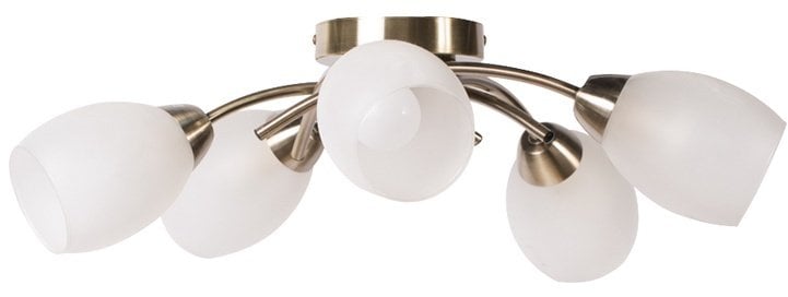 Lampa sufitowa Domoletti CEILING LAMP MX60374-5 5X40W E14