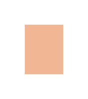 MAC Studio Fix Powder Plus Foundation W 15g