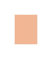 MAC Studio Fix Powder Plus Foundation W 15g