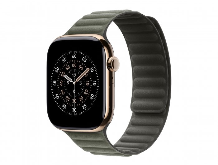 46mm Sage Gray Magnetic Link - S/M