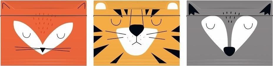 Interdruk Teczka z gumką A4+ BB Friends Boys (10szt)