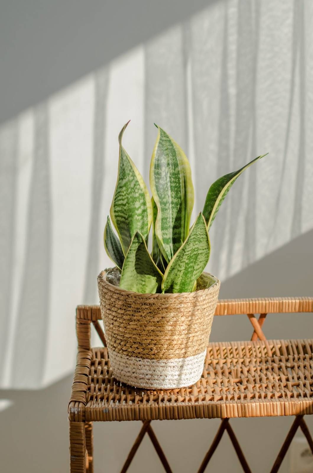 Tajemniczy ogród Kosz osłonka Moroccan Biały 17,5cm