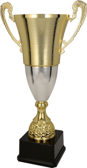 Tryumf Puchar metalowy złoto-srebrny (2071E)