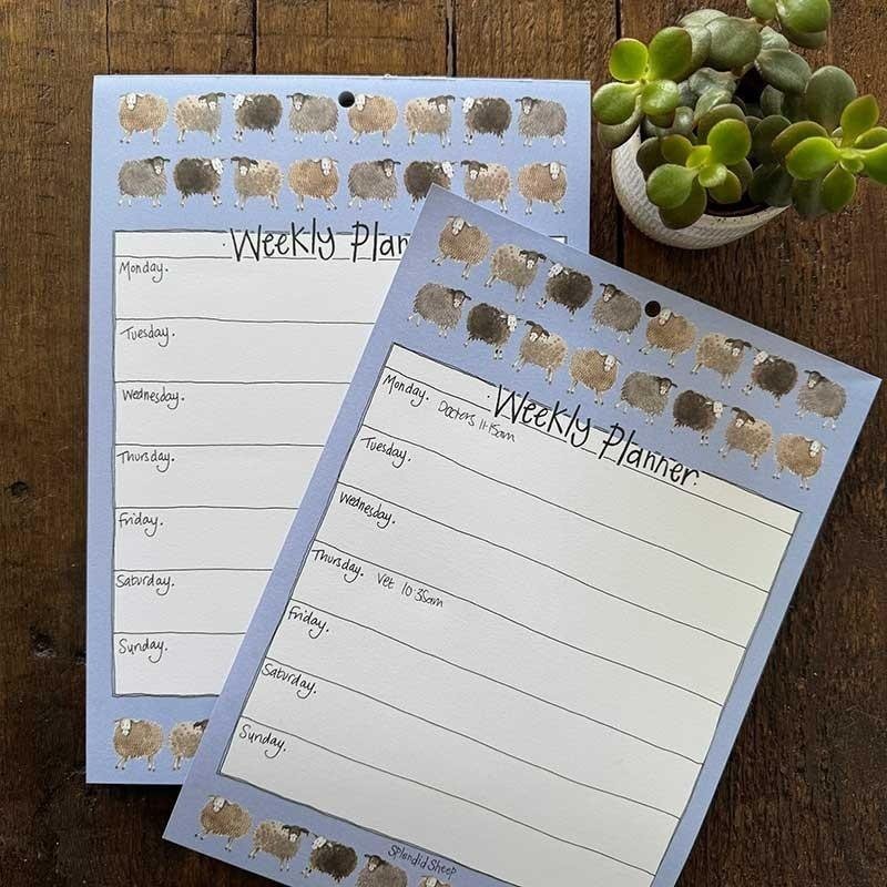 Tygodniowy planer A4/60K Owieczki