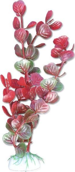 Happet Roślina blister 20cm 2b53 Happet