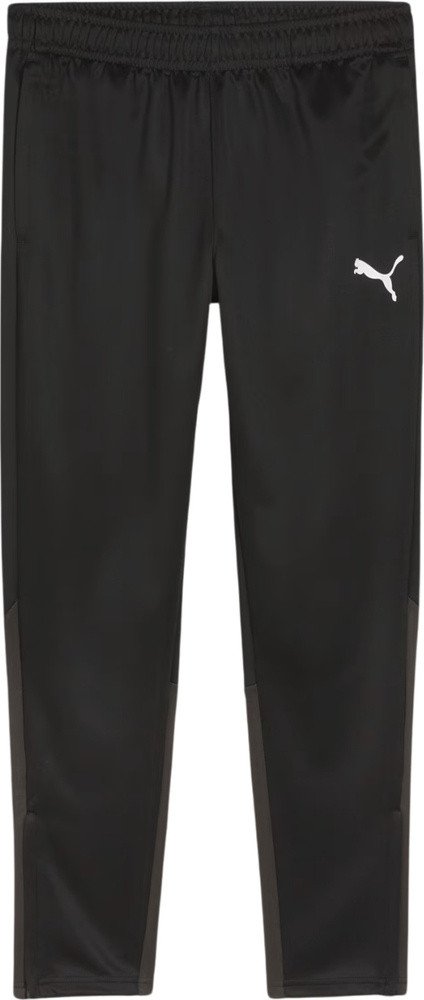 Spodnie męskie Puma Team Goal Training czarne 658639 03 XL
