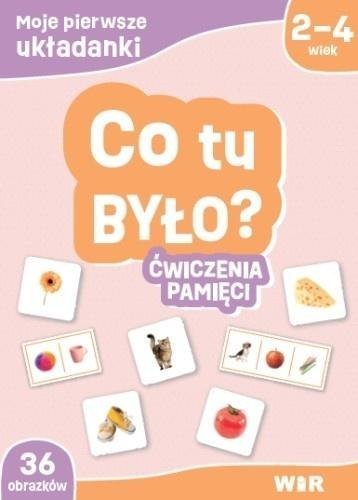WIR Moje pierwsze układanki. Co tu było? Ćw. pamięci