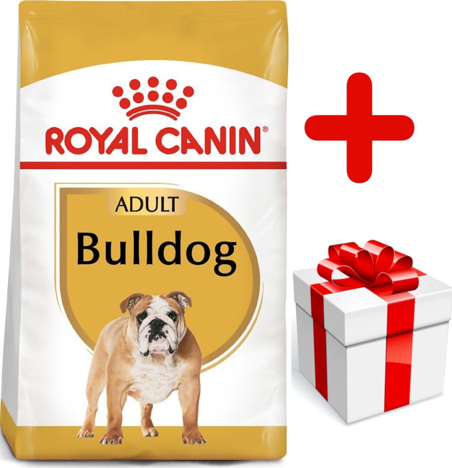 Royal Canin ROYAL CANIN Bulldog Adult 12kg karma sucha dla psów dorosłych rasy bulldog + niespodzianka dla psa GRATIS!