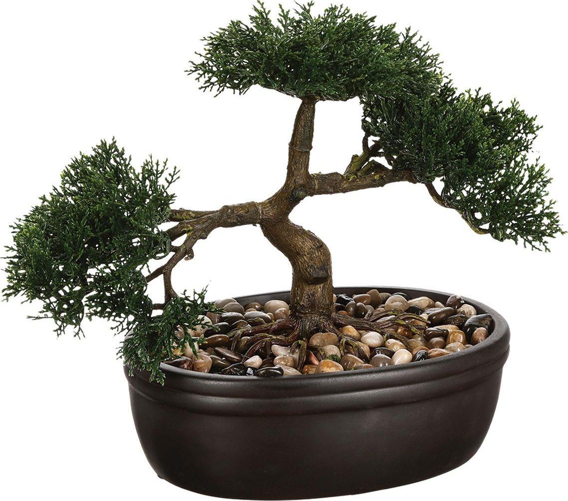 Atmosphera Drzewko bonsai w czarnej doniczce 23 cm
