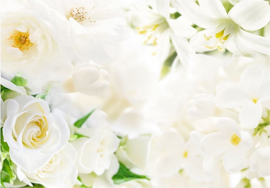 DecoNest Fototapeta - Białe westchnienie - 100X70