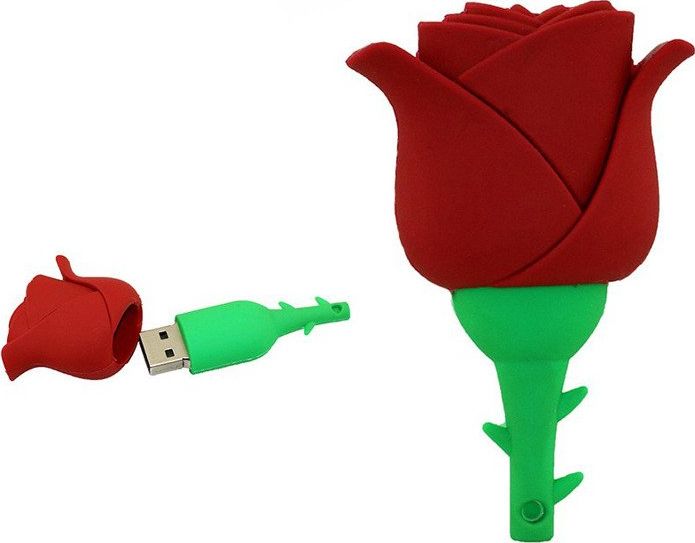 Pendrive Dr. Memory 16 GB