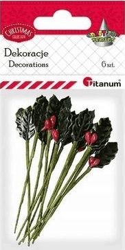 Titanum Gałązki ostrokrzewu 15x30mm 6szt