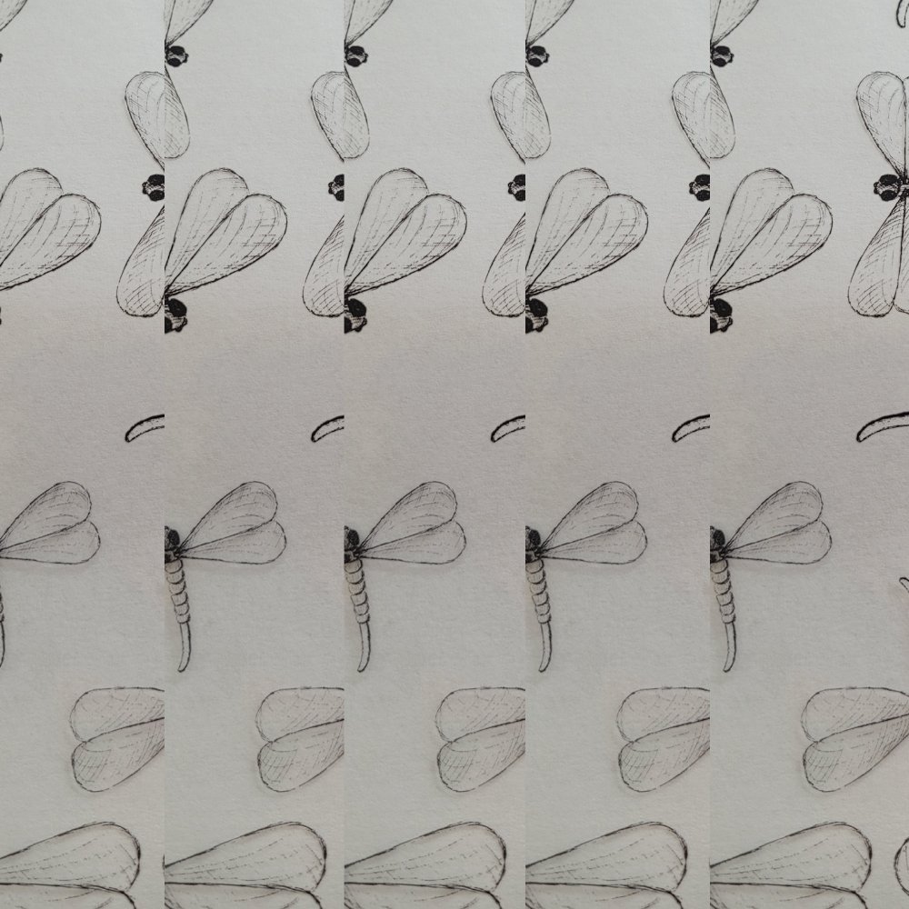 Fastima Zestaw folii celofanowej z ważkami do pakowania 70cmx2m 5szt ZST72 świąteczna