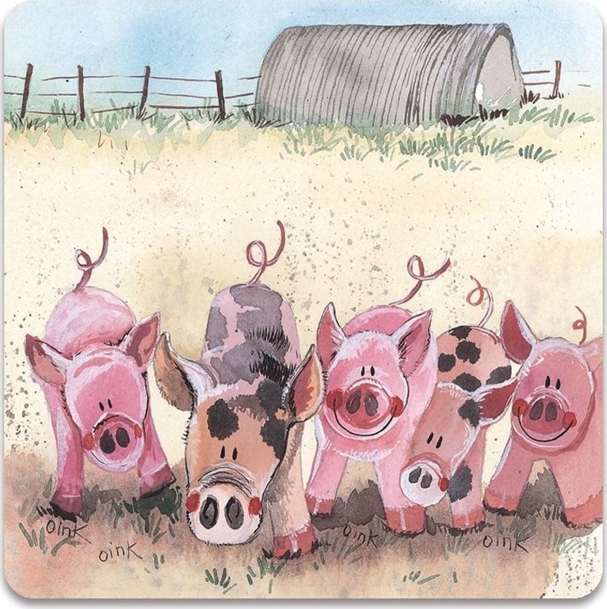 Teka Magnes FM60 ¦winki