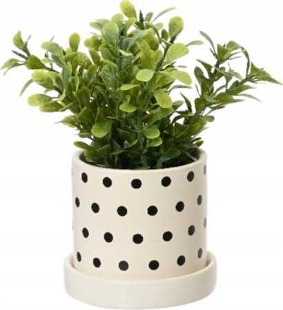 Kaemingk Roślina zielona w doniczce sztuczna dekoracyjna 16x8 cm