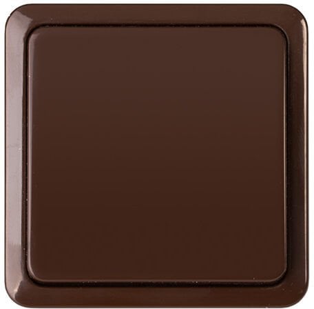 SWITCH P110-010V TOP CL1 BROWN SL+