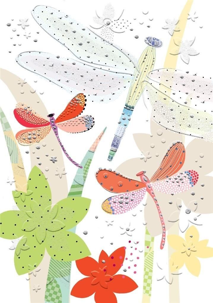 Turnowsky Karnet B6 + koperta Ważki