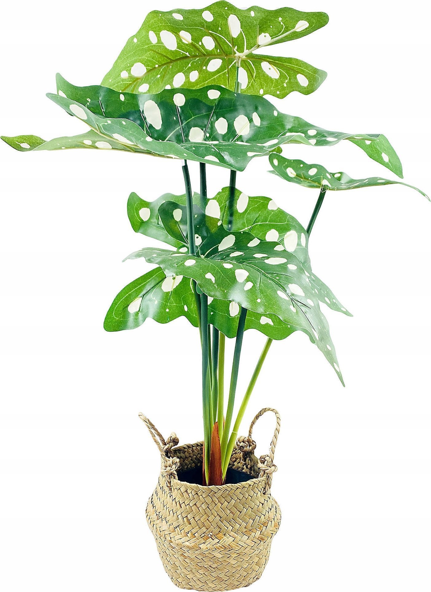 Eurofirany Alokazja, kwiat sztuczny w koszyku