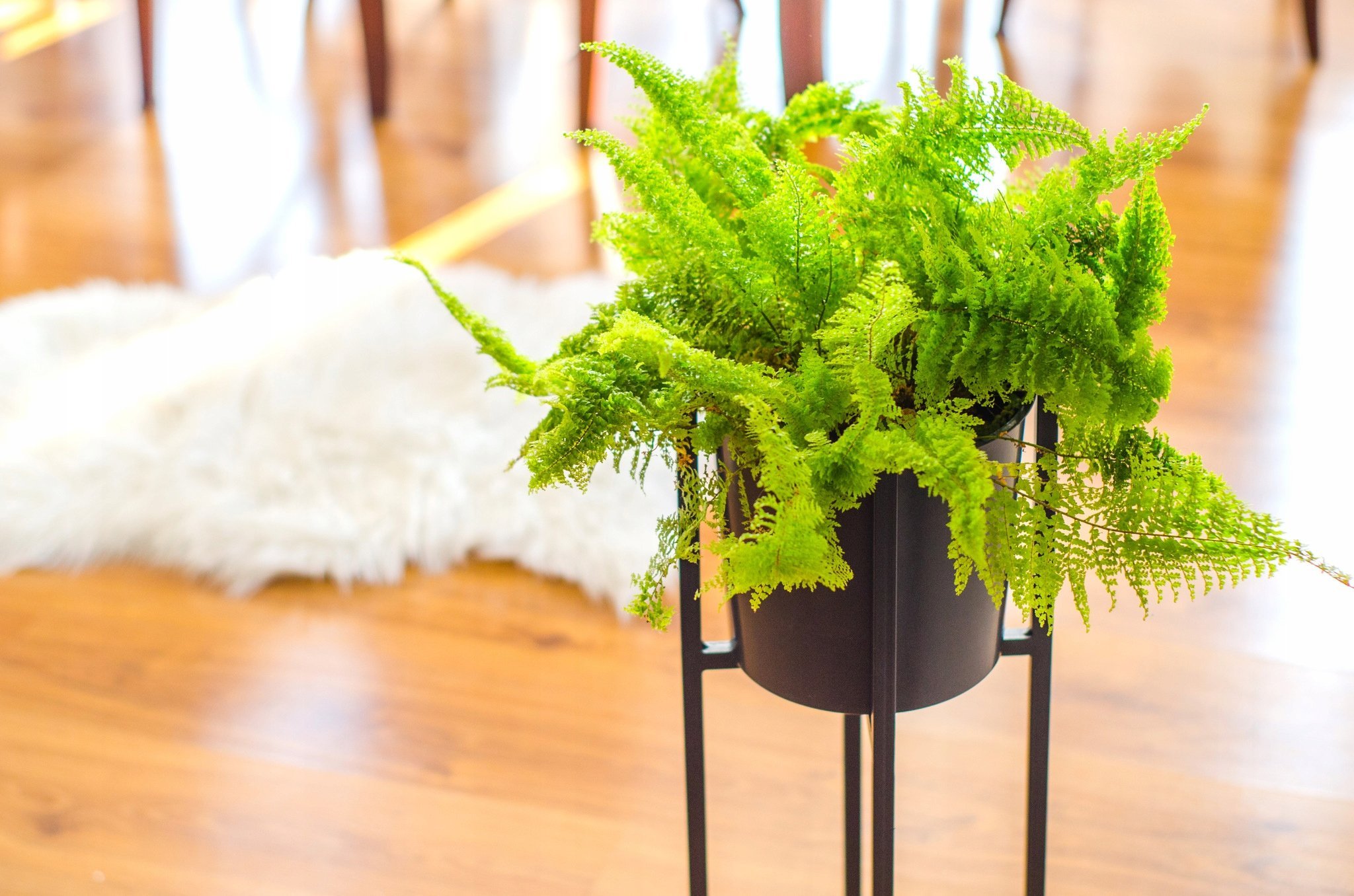 Kwietnik Novi Niski ELGarden Stojak pod doniczkę