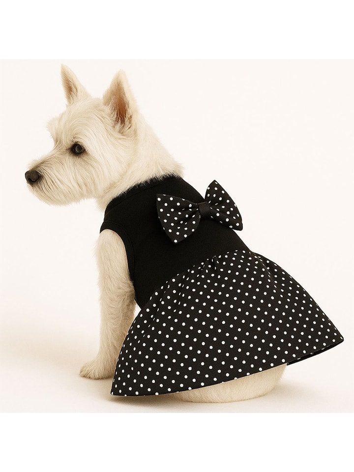 Paws&Whiskers Bluza w kolorze czarnym dla psa rozmiar: S