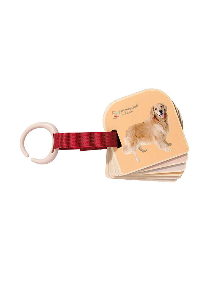 Eichhorn Książeczka obrazkowa - 12 m+ rozmiar: onesize