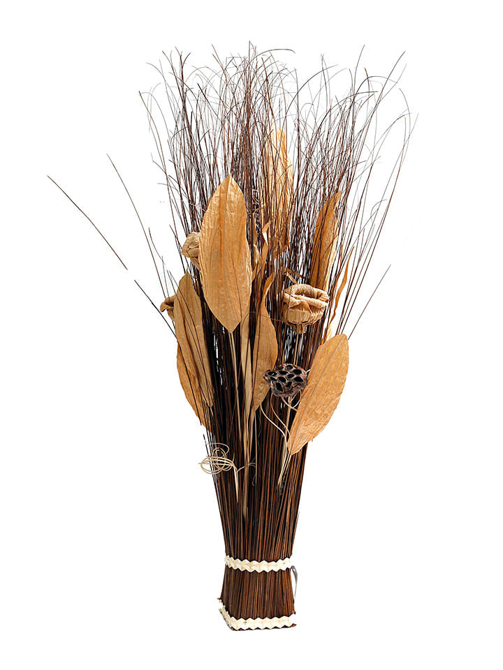 SiL Interiors Bukiet suszonych kwiatów w kolorze brązowym - wys. 100 cm rozmiar: onesize