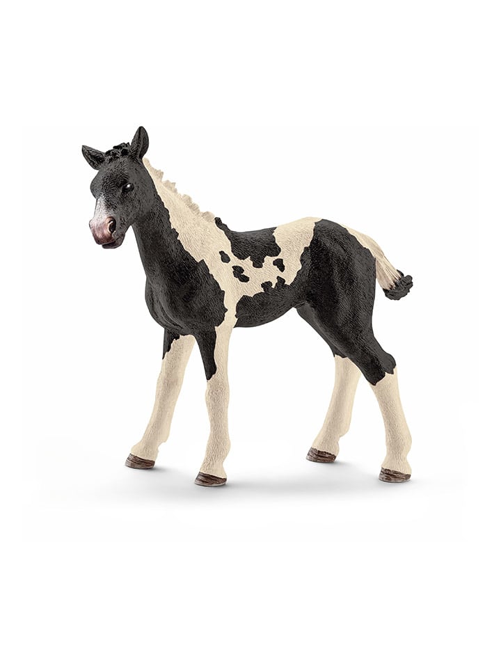 Schleich Figurka "Pinto foal" do zabawy - 3+ rozmiar: onesize