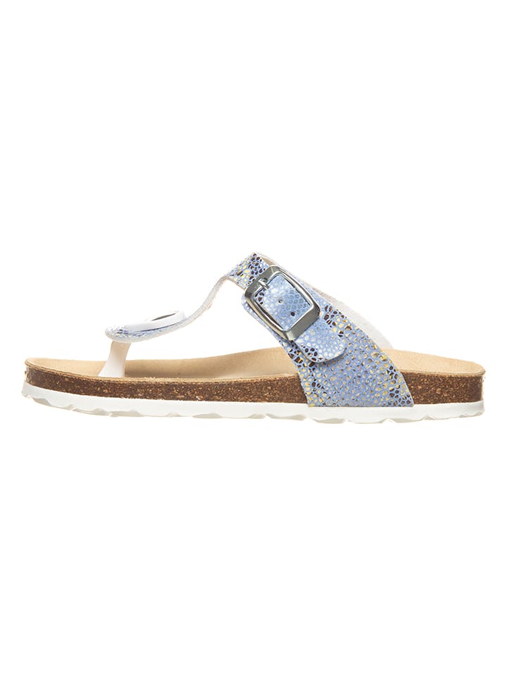 Japonki w kolorze niebieskim