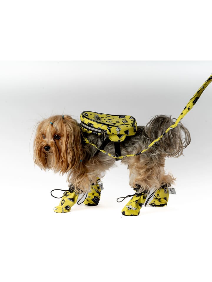 Paws&Whiskers Buty w kolorze żółtym dla psa rozmiar: S/M