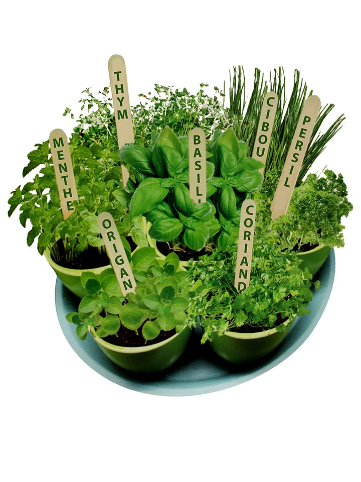 MGM Zestaw ziół rozmiar: onesize