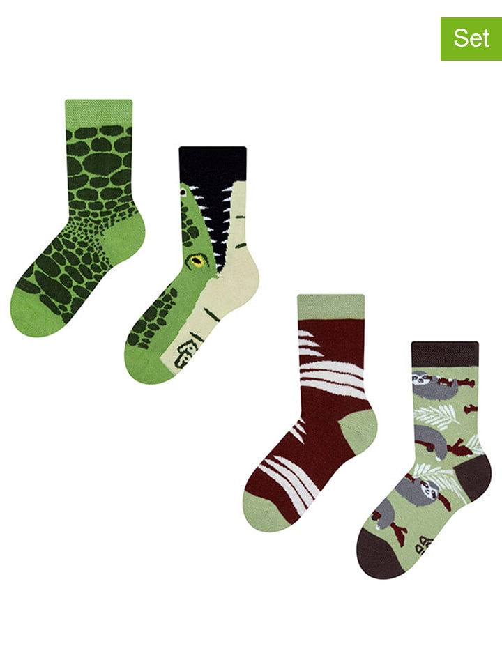 Dedoles Skarpety (2 pary) w kolorze zielonym rozmiar: 27-30