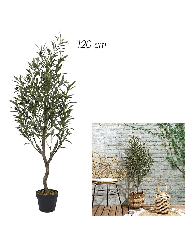 Ethnical Life Sztuczna roślina w kolorze zielonym - wys. 120 x Ø 30 cm rozmiar: onesize