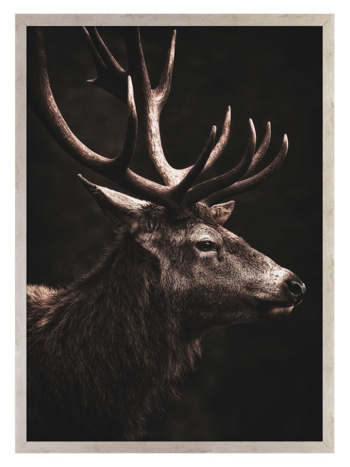 Ars Longa Druk artystyczny "Brown Deer" w ramce - 70 x 50 cm rozmiar: onesize