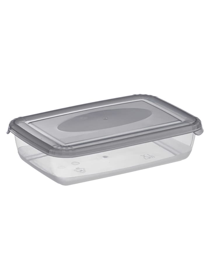 Plast Team Pojemnik w kolorze szarym - 16,5 x 4 x 10,8 cm rozmiar: onesize