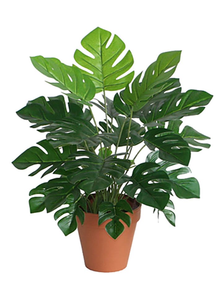 House Nordic Sztuczna roślina w kolorze ciemnozielonym - wys. 45 cm rozmiar: onesize