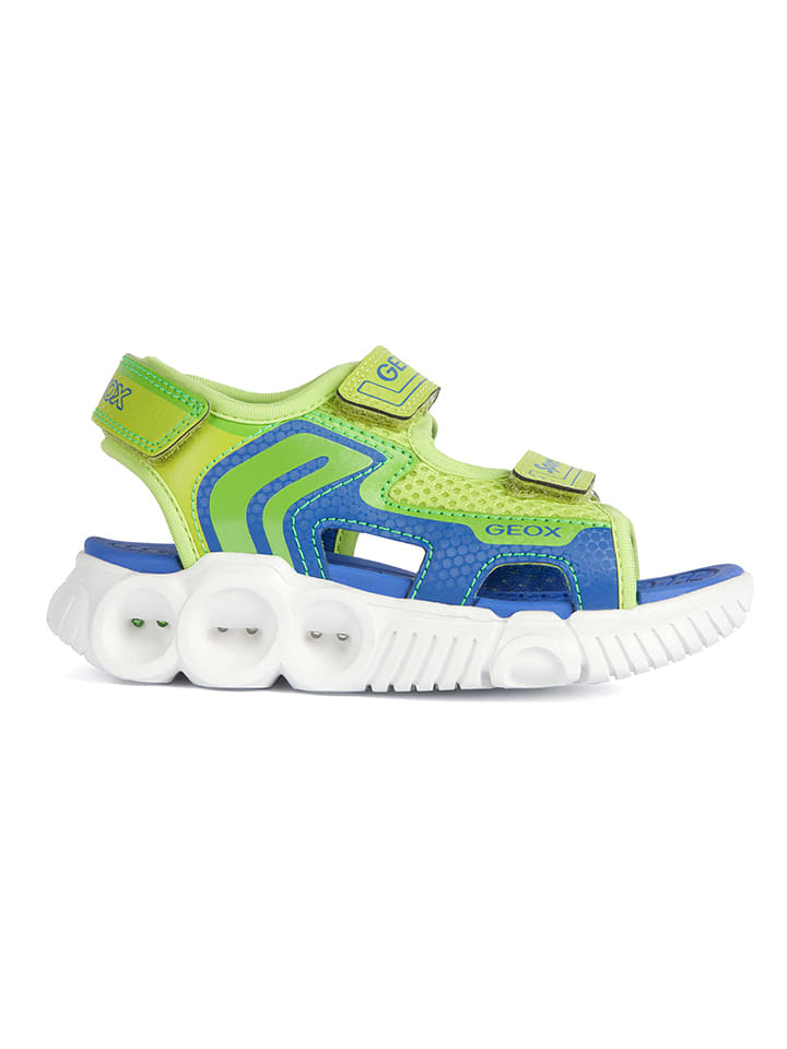 Geox Sandały "Wroom" w kolorze zielono-niebieskim rozmiar: 26