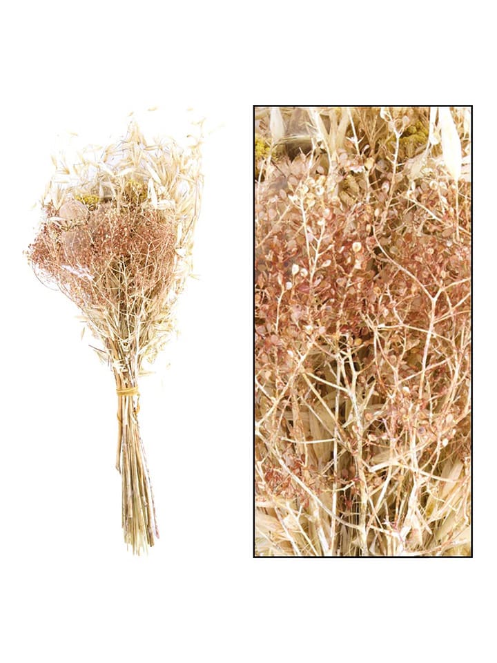 Dijk Natural Bukiet suszonych kwiatów w kolorze kremowym - wys. 60 cm rozmiar: onesize