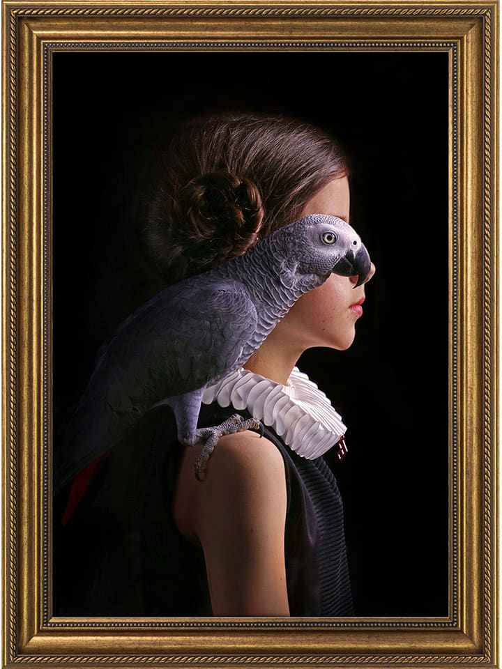 Ars Longa Druk artystyczny "Girl Parrot" w ramce rozmiar: 40x50 cm