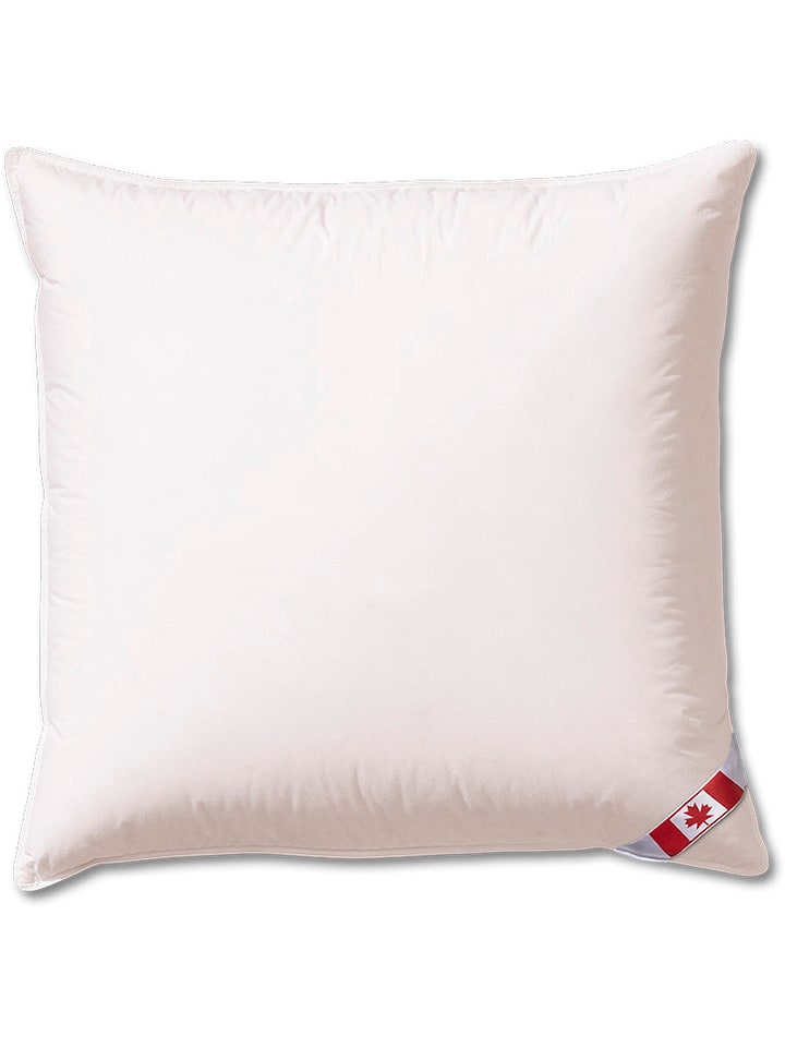 Sanders-Kauffmann Poduszka puchowa "Canada" w kolorze białym - 80 x 80 cm rozmiar: onesize