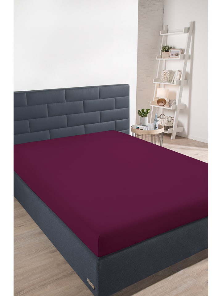 Schiesser Dżersejowe prześcieradło w kolorze bordowym na gumce rozmiar: 180x200 cm